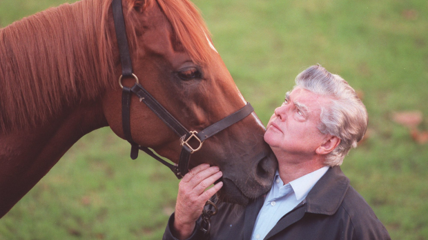 Article image for Champion racehorse Saintly dies