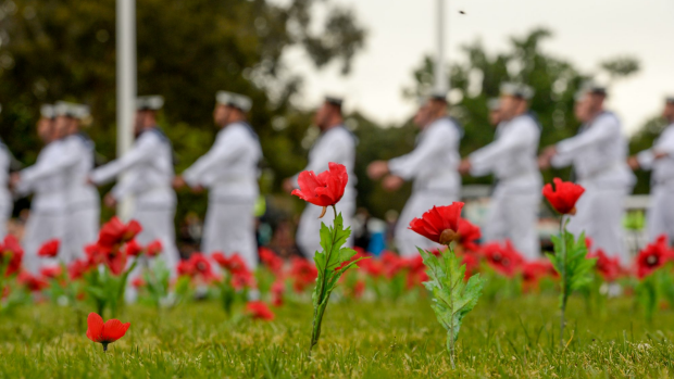 Article image for Remembrance Day 2016: Anniversaries coincide as Australians mark November 11