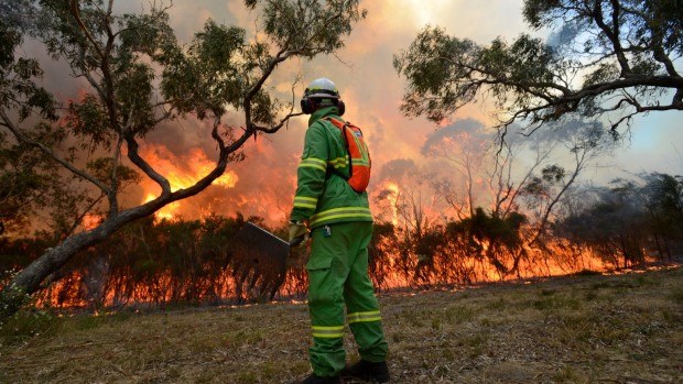 Article image for Smoky haze blankets Melbourne