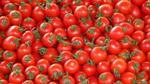 Article image for University of Florida research confirms tomatoes are best out of the fridge