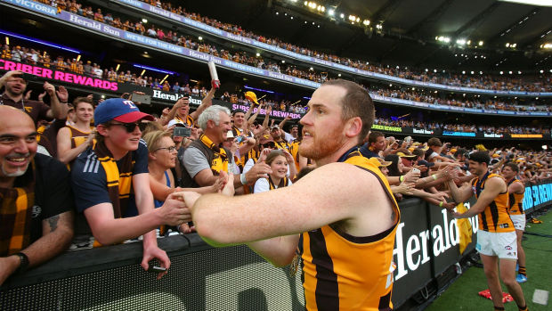 Article image for Hawthorn names Jarryd Roughead captain in 2017