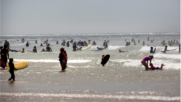 Article image for Dozens of sharks spotted near Anglesea and Fairhaven