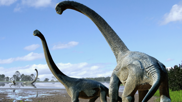 New Australian dinosaur discovery unveiled in Queensland - 3AW
