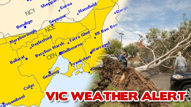 Article image for Victoria hit by wild winds again