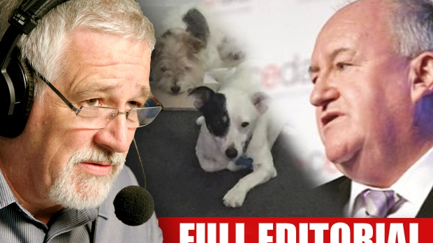 Article image for Neil Mitchell calls for audit, says Steve Herbert should sacked over ‘dog chauffeur’ affair