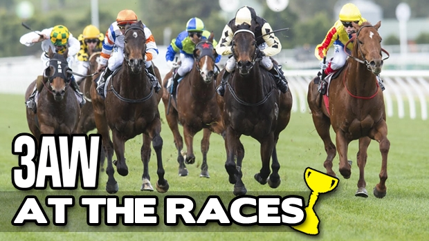 Article image for 3AW at the 2016 Melbourne Cup Carnival