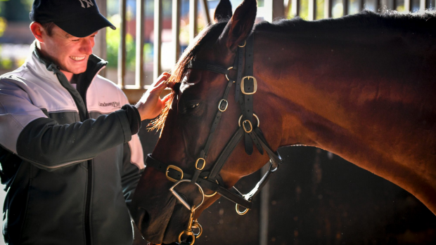 Article image for Sydney Cup abandoned mid-race