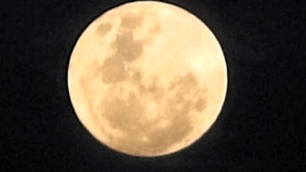 Article image for PICTURES: 3AW listeners send in their best ‘supermoon’ photos