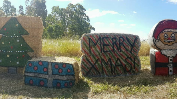 Article image for St Arnaud farm spreads Christmas cheer with a display of painted hay bales