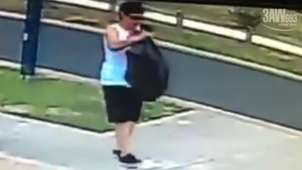Article image for Woman caught allegedly stealing Christmas decorations from a Taylors Hill home