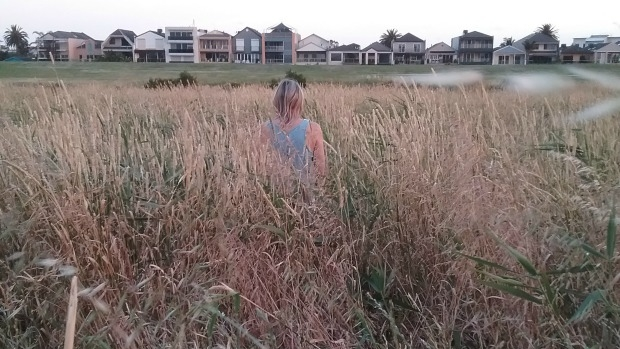 Article image for Grass along Patterson River in Bonbeach a fire hazard