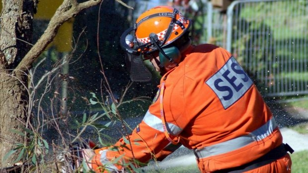 Article image for 5000 Victorian homes are without power due to damaging winds
