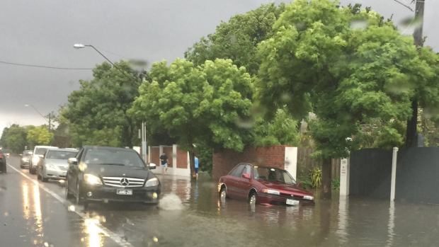 Article image for Flood warning issued around Elsternwick Canal as wild weather hits Melbourne