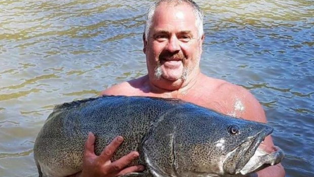 Article image for Greensborough man caught a huge Murray cod with bare hands near Cobram