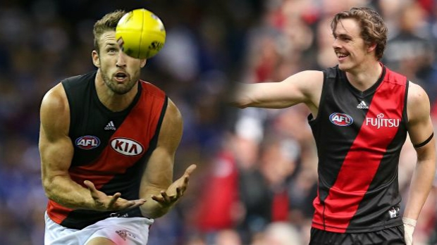 Article image for Matthew Lloyd says Joe Daniher and Cale Hooker should aim for 100 goals