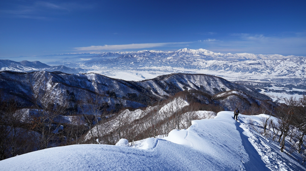 Article image for Australian mother and her three sons reportedly rescued from Japanese ski resort