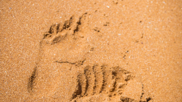 Article image for Emma Edge tracks down her engagement ring on a beach on the Bellarine Peninsula