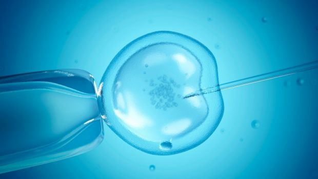 Article image for Monash IVF flying Chinese couples to Melbourne for fertility treatments