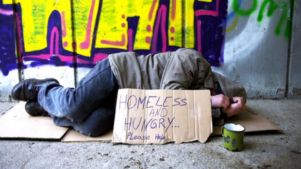 Article image for Tiny homes created to fix homelessness