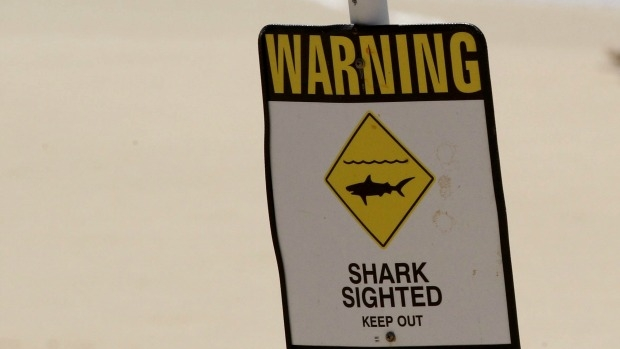 Article image for Shark spotted at St Kilda beach
