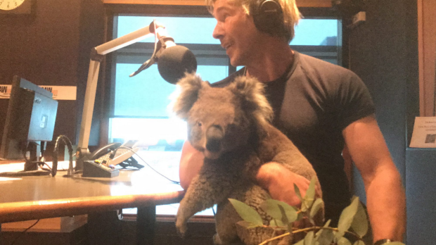 Article image for Chris Humfrey joins Neil Mitchell in the studio with a koala and a snake