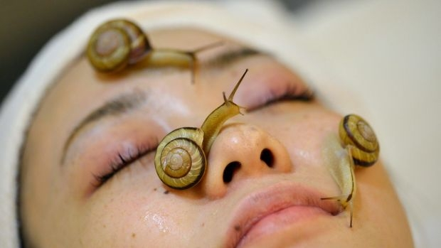 Article image for Snail slime being used in skincare products