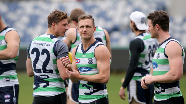 Article image for The TAC won’t renew sponsorship with Geelong after Joel Selwood caught speeding