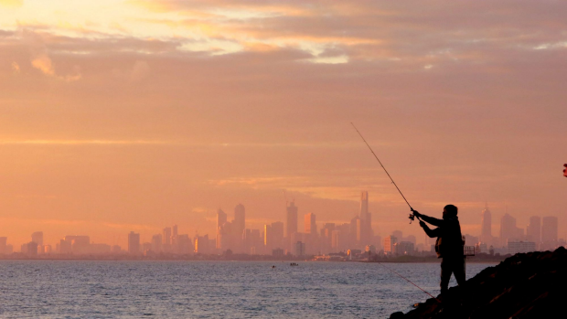 Article image for Port Phillip Bay has an extra 400-500 tonne of fish for recreational fisherman