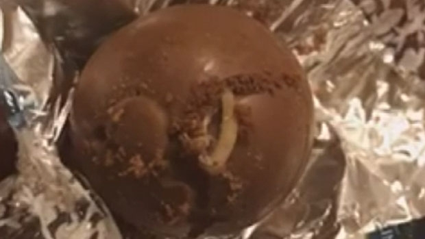 Article image for Neil Mitchell listener finds weevil inside chocolate