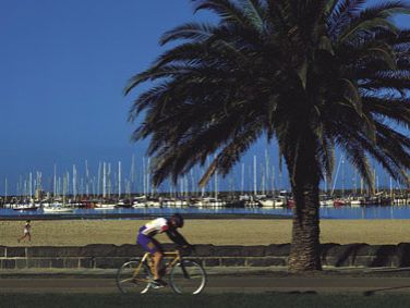 Article image for Should cyclists have speed limits in Melbourne?