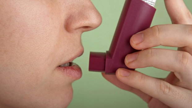 Article image for Winemaker tells the court his asthma inhaler is to blame for high BAC reading