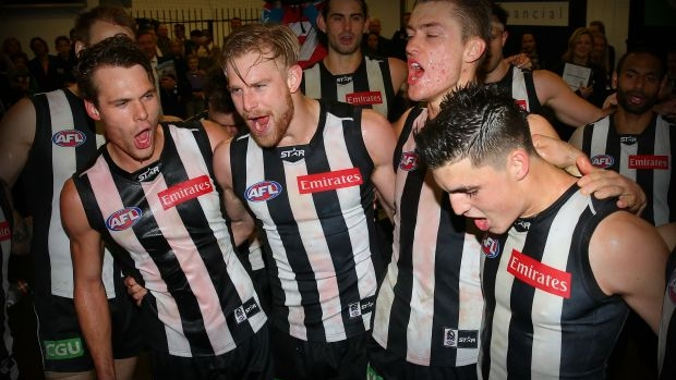 Article image for Collingwood coach Nathan Buckley says Matt Scharenberg wants to stay a Magpie