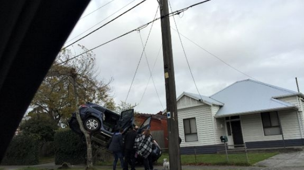 Article image for Ever seen a car up a tree? Bizarre crash at Warrigal Rd, Oakleigh