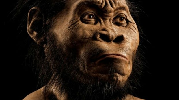 Article image for Scientists ‘stumped’ by discovery of human-like species in South African caves