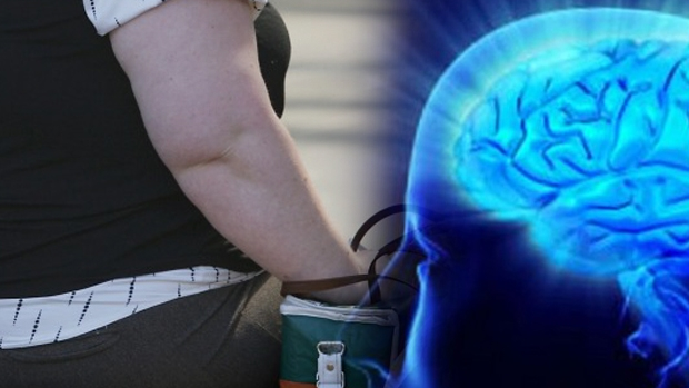 Article image for How your brain can power weight loss: Dr Helena Popovic on NeuroSlimming