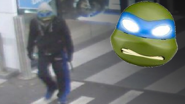 Article image for Teenage Mutant Ninja Turtle robs Doncaster car dealership