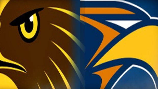 Article image for What would happen if real hawks and eagles fought out the grand final?