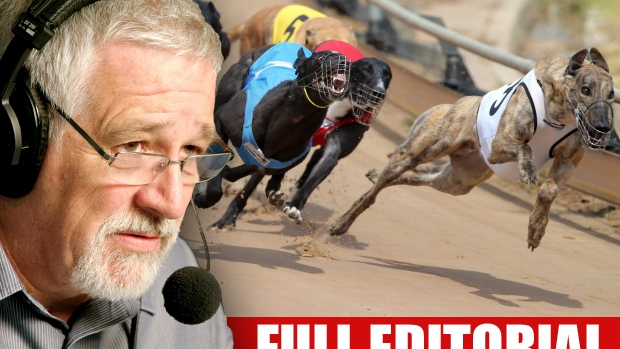 Article image for Time to ban the greyhound racing: Neil Mitchell