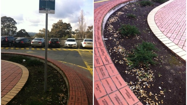 Article image for Austin Hospital garden becomes ‘gigantic ashtray’