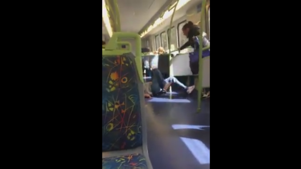 Article image for Pregnant woman in shocking Hurstbridge line train fight