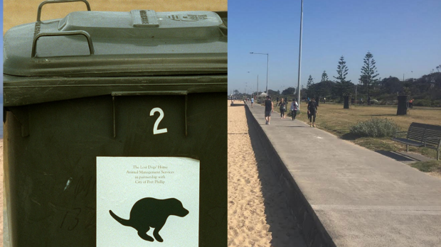 Article image for Your Town: 3AW Drive visits Elwood and finds out about a ‘dog poo war’