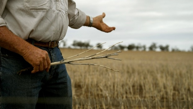 Article image for Farmer Colin gets emotional explaining drought fears to Neil Mitchell