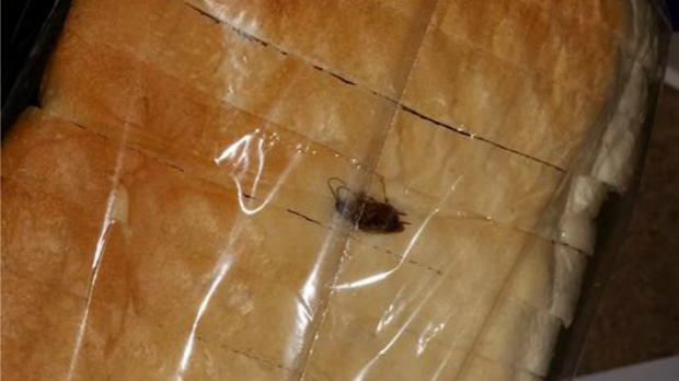 Article image for Woman finds cockroach in loaf of bread