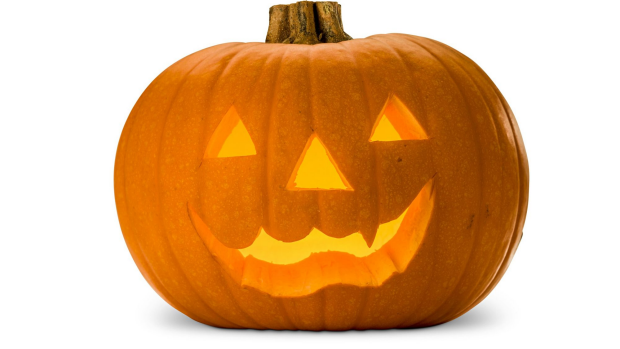 Article image for Inedible pumpkins making big money for Halloween