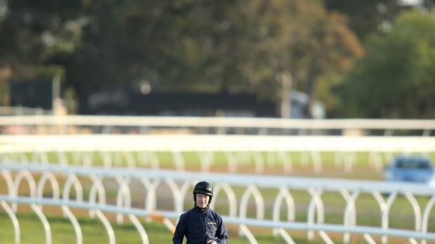 Article image for Andrew Bensley’s Melbourne Cup tip