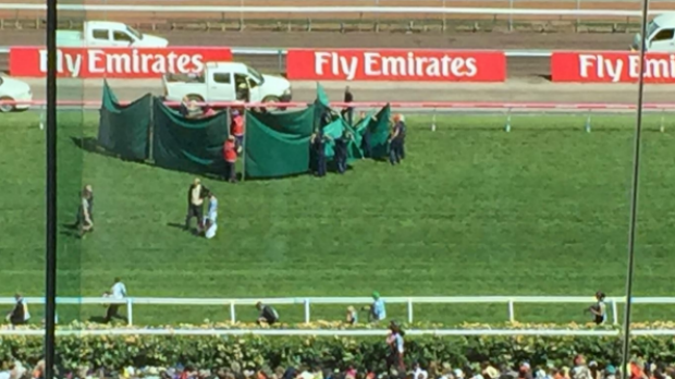 Article image for Red Cadeaux taken to hospital after Melbourne Cup breakdown