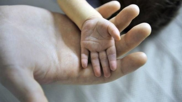 Article image for Same-sex adoption bill passed with religious exemptions