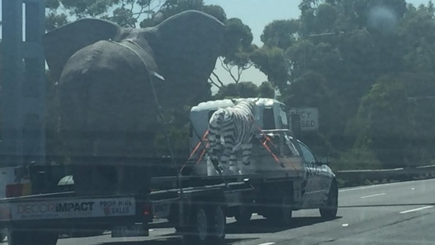 Article image for Bizarre photo of life size elephant and tiger statues on back of trailer