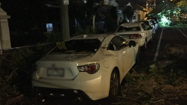 Article image for Tree falls on tent, injuring six teens, as wild winds rock Victoria