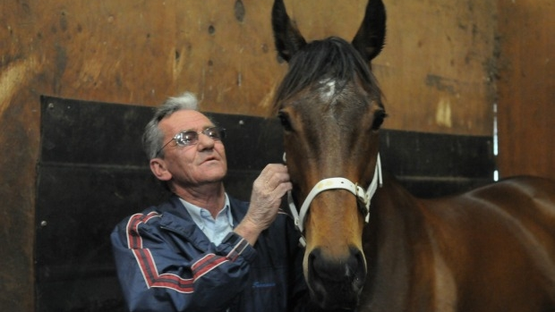 Article image for Mick Burles feels ’empty’ after being sacked as trainer of The Cleaner
